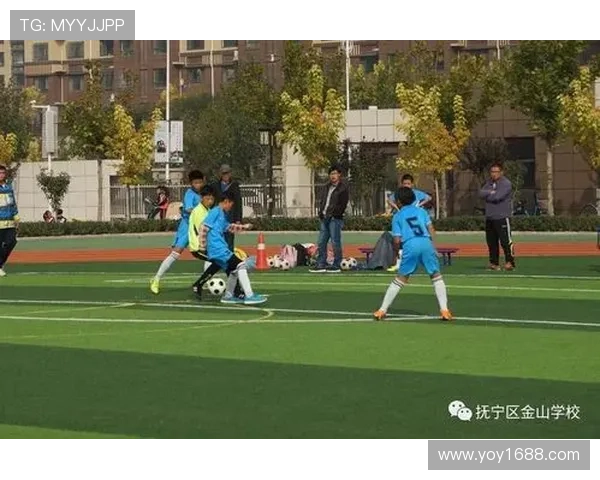 抚宁足球明星阵容揭秘助力地方足球发展与青少年培养