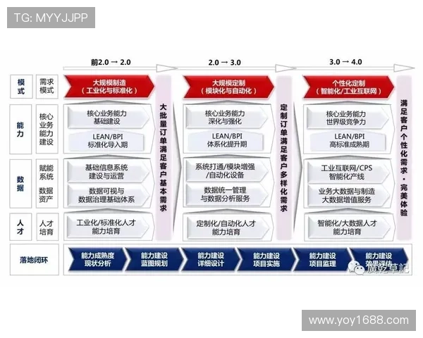 广州排球队的运营揭秘与深度分析探讨排球运动的未来发展方向