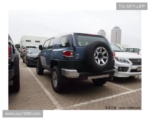 成都羽毛球队在洲际杯积分榜上以65分稳居第一名展现强劲实力