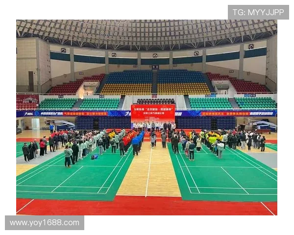 武汉排球队在杯赛中的节奏掌控与表现分析